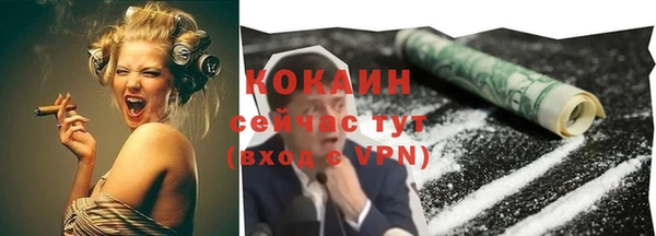 стафф Алексин