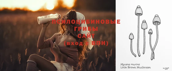 стафф Алексин