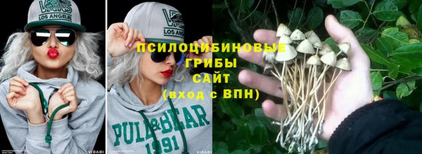 стафф Алексин