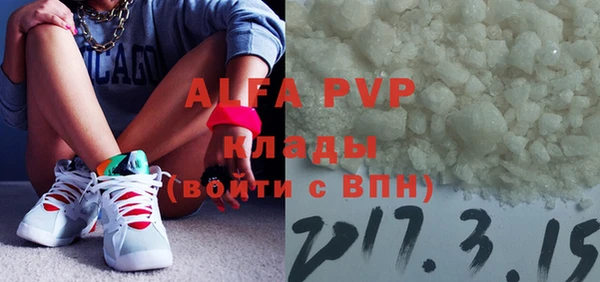 стафф Алексин