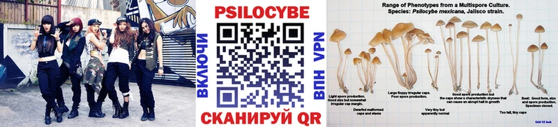 Псилоцибиновые грибы мухоморы  цена   kraken сайт  даркнет какой сайт  Бронницы 
